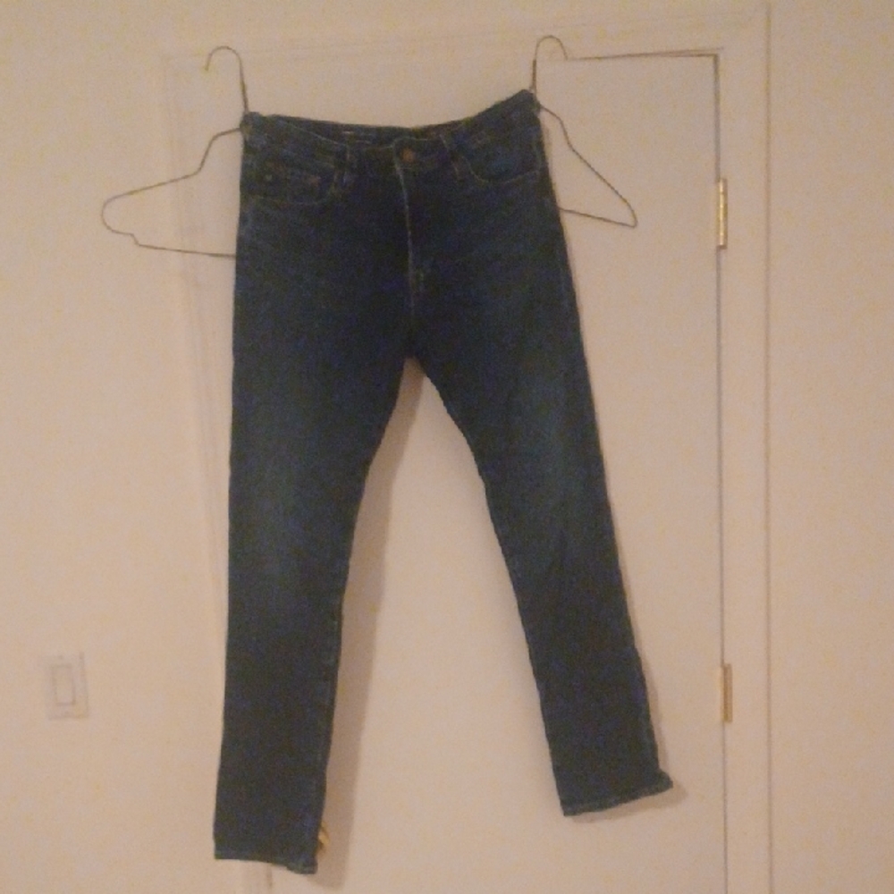 Ag Adriano Goldschmied Indigo Jeans